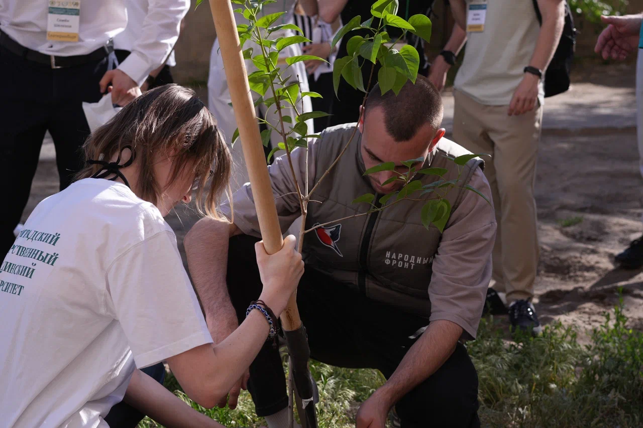 Экологический клуб «GreenMed»
