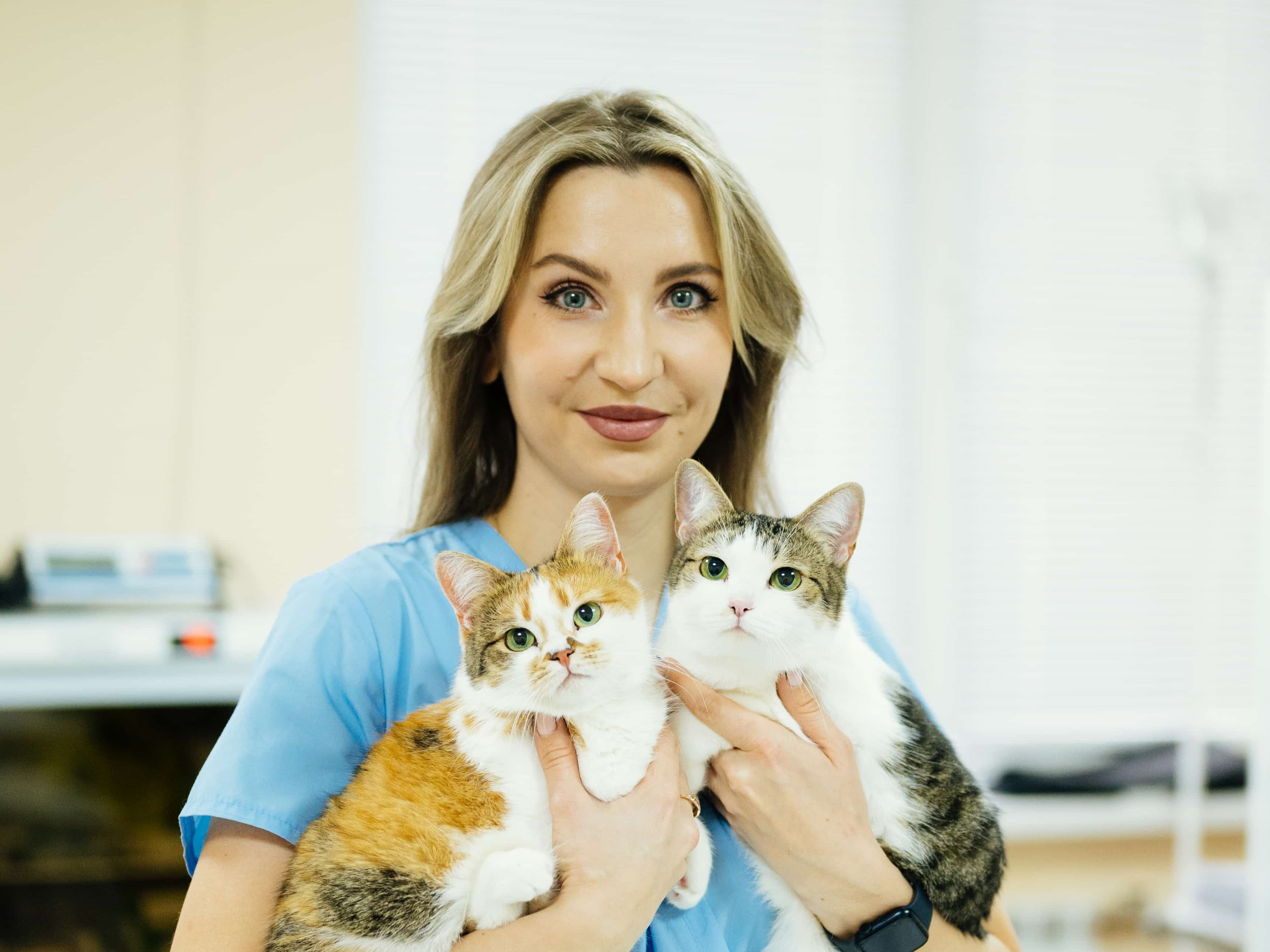 Центр ветеринарии