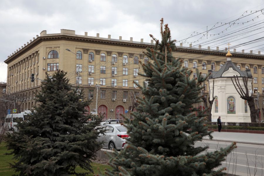 Молодой ученый ВолгГМУ исследовала, как пихта сибирская влияет на студентов