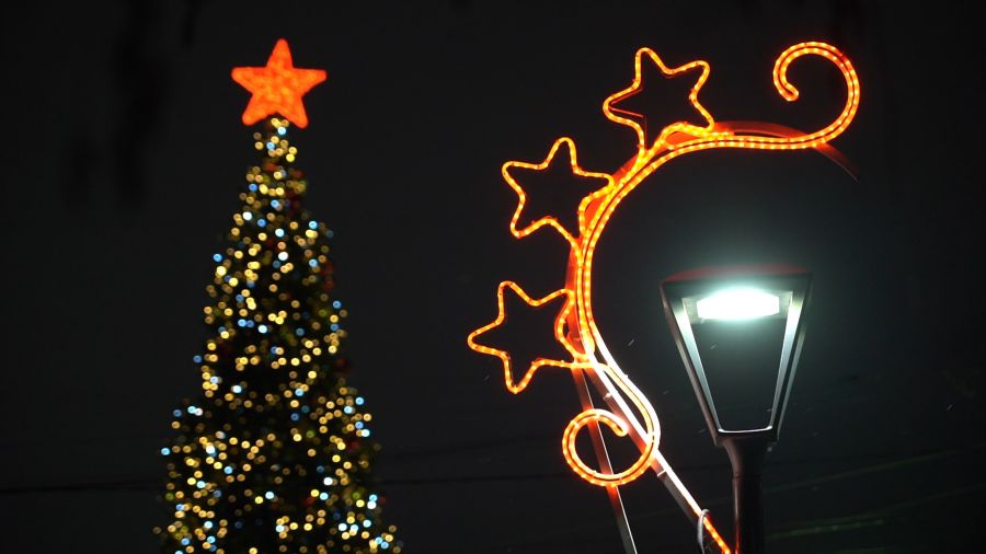 Ректор ВолгГМУ Владимир Шкарин поздравляет с Новым 2026 годом!