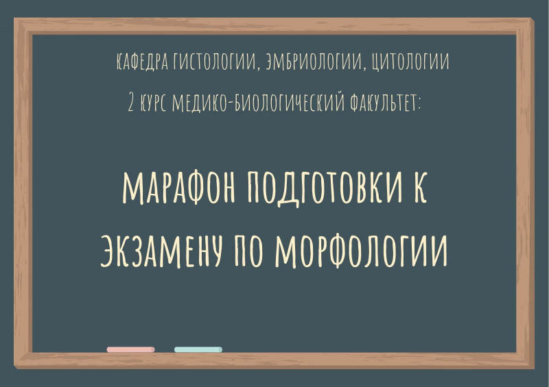 О марафоне подготовки к экзамену по морфологии О марафоне подготовки к экзамену по морфологии