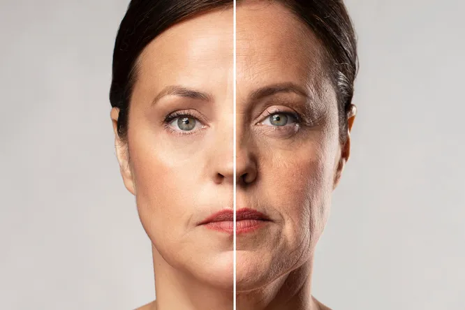 Ученые разработали соединения, подавляющие ключевой механизм старения