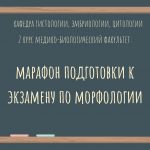 О марафоне подготовки к экзамену по морфологии