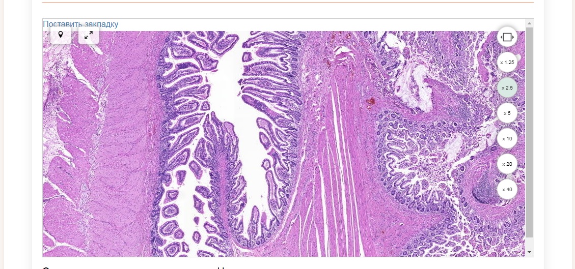 Доступ к уникальным интерактивным изданиям