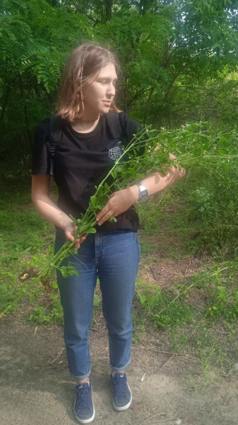 Второкурсники фармацевтического факультета завершили учебную практику по ботанике Второкурсники фармацевтического факультета завершили учебную практику по ботанике