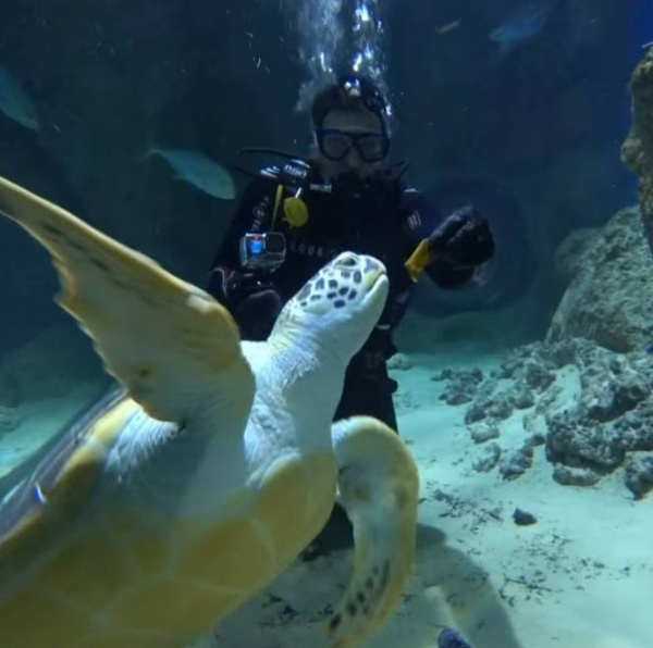 Зубков Александр Владимирович