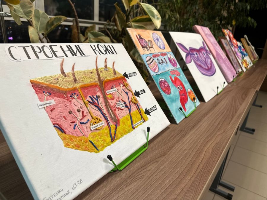 Студенты ВолгГМУ получили 18 международных 32 вузовских диплома на конкурсах гистологического рисунка в Волгограде и Воронеже