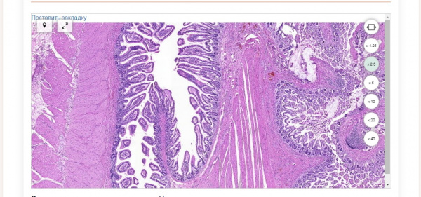 Доступ к уникальным интерактивным изданиям