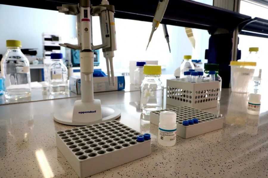 Российские учёные создали молекулы, борющиеся с двумя фундаментальными механизмами развития диабета