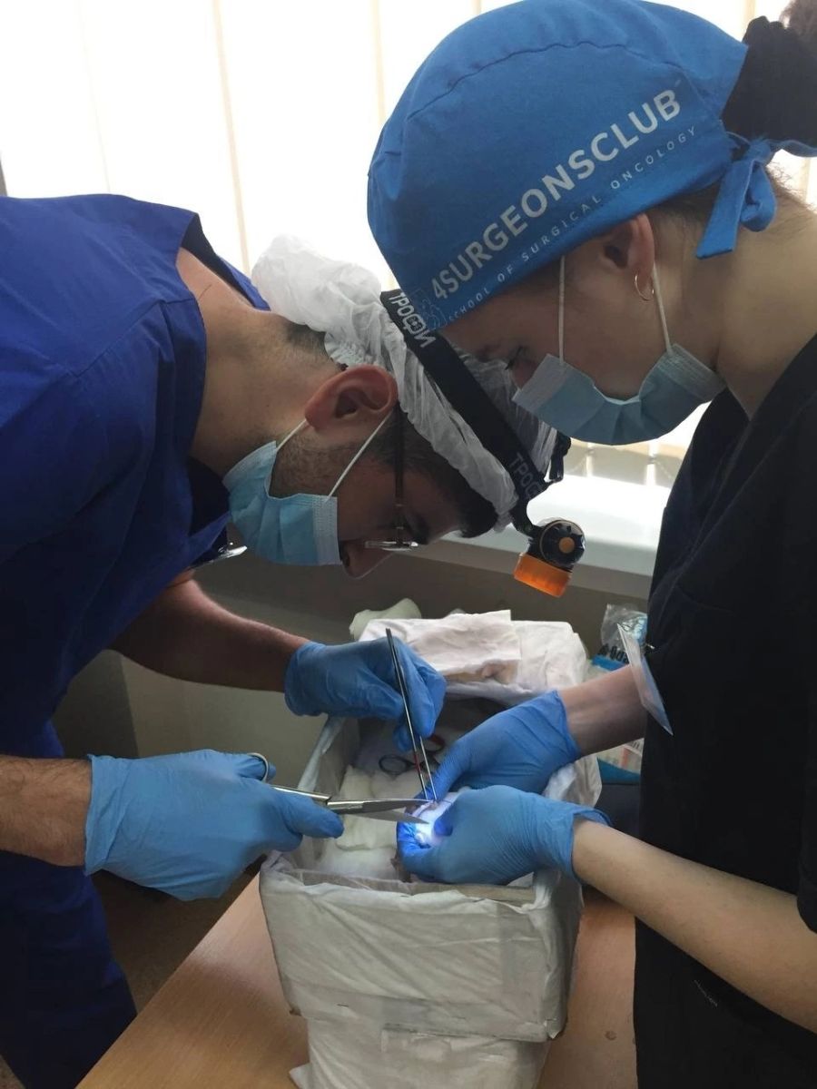 Операция по методике Штудера принесла победу студентам ВолгГМУ в олимпиаде по хирургии