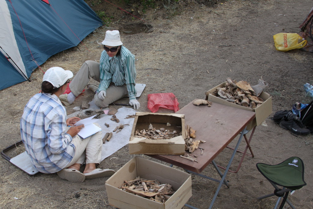 Доцент ВолгГМУ Ирина Лапшина Доцент ВолгГМУ Ирина Лапшина