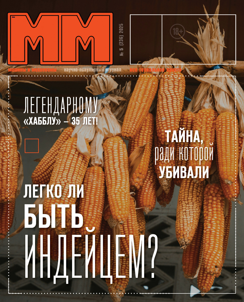 Ученые ВолгГМУ нашли средство от эпилепсии