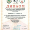 Итоги 70-й конф. 