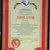 Диплом I степени в номинации «За формирование и продвижение ценностей здорового образа жизни в вузе посредством творчества и социальной рекламы» открытого публичного Всероссийского конкурса среди образовательных учреждений ВПО МЗСР РФ. 2012.