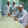 Выбор штамма для следующего этапа эксперимента