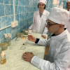 Зоркое наставничество
