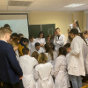 Разбор строения органов на препаратах