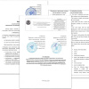 Документы для ознакомления студентов ВолгГМУ от 13 апреля 2020