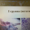 фото с экрана монитора во время апробации 1 группа