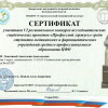 Сертификат Анастасии Лопатиной