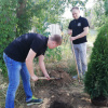 Выпускники ВолгГМУ посадили деревья в лагере