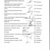 Распоряжение об обновлении сайта ВолГМУ (Лист 4)