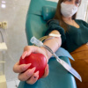 студенты – медики сдали кровь пациентов волгоградских больниц