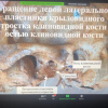 Заседание К НАМ