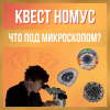 2020-11-28-Недельный квест от НОМУС ВолгГМУ