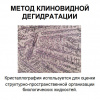 О заседании клуба нормально-аномальных морфологов