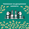 Чемпионат по дисциплине шахматы