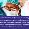 конференция для врачей-хирургов