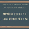 Марафон подготовки к экзамену по морфологии