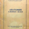 Анатомия слюнных желез