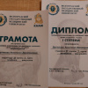 Студенты ВолГМУ проверили свои знания на внутривузовской Олимпиаде по «Анатомии человека»