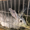 Участник исследований вакцины 