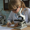 Олимпиада по гистологии, эмбриологии, цитологии, 14 декабря 2012 г.