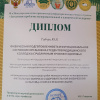 Диплом 1 степени - 81-я международная научно-практическая конференция молодых ученых и студентов «Актуальные  проблемы экспериментальной и клинической медицины».jpg