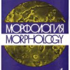 Морфология