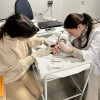 Студенты отрабатывают некоторые хирургические приемы на тканях животных на тканях.jpg