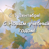 С днем знаний!