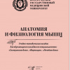Анатомия и физиология мышц 2024.jpg