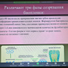 139974-2.jpg