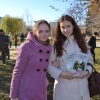 «Сталинградская сирень – сирень победы». 19 ноября 2013 года