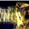 Что? Где? Когда?