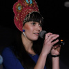 Новогодний переполох 2013