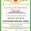 Благодарственное письмо. ГЛПК Златоуст