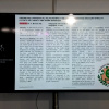 ВолгГМУ на IX Конгрессе Европейской Федерации по изучению боли (EFIC)