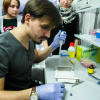 Семинар об основах двухмерного электрофореза