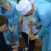 ХХV Всероссийская олимпиада по хирургии: этап ЮФО